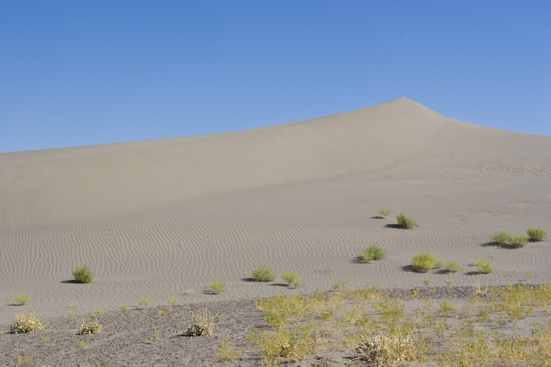 Sand Dune